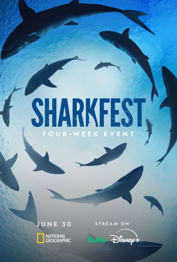 SharkFest